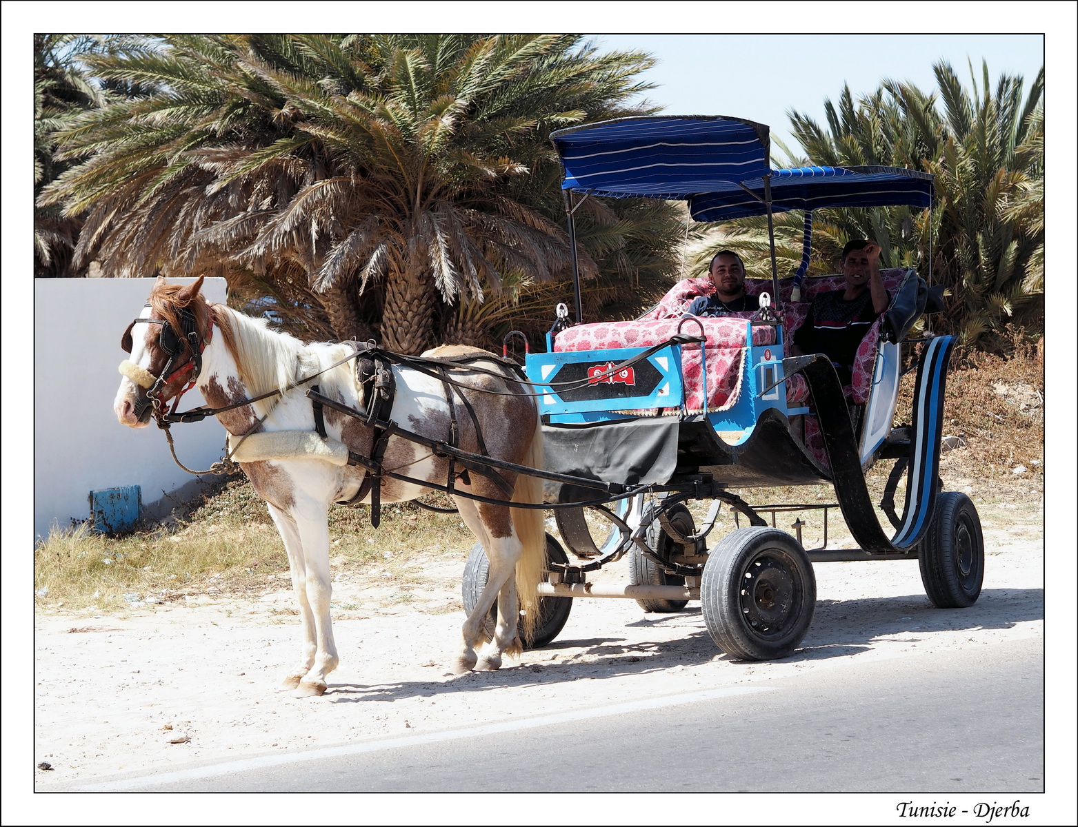 2018 - 05 - Djerba - 31